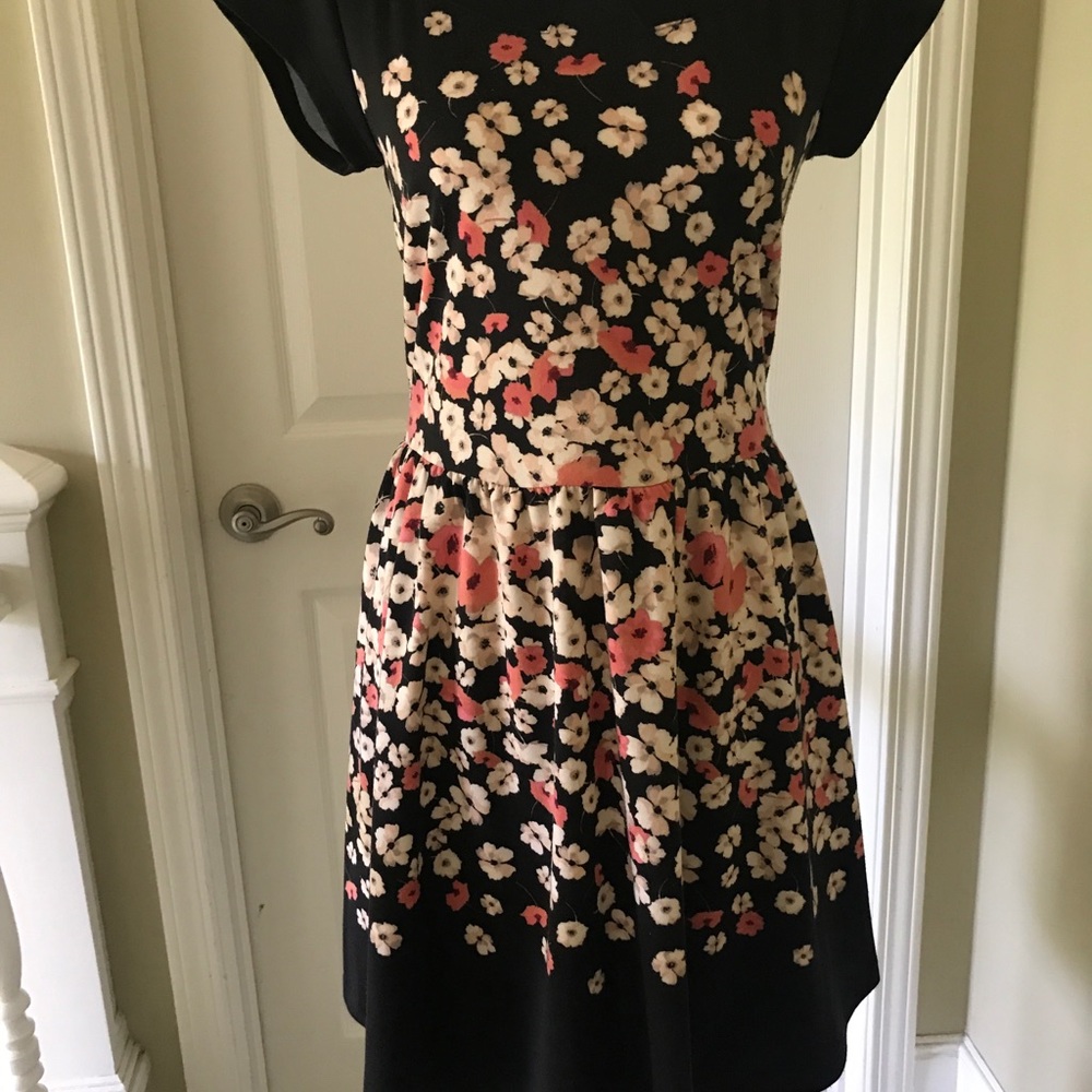 Lauren Conrad Vintage Style Dress 10 4